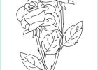 Rose Coloriage Inspirant Image Coloriages Roses