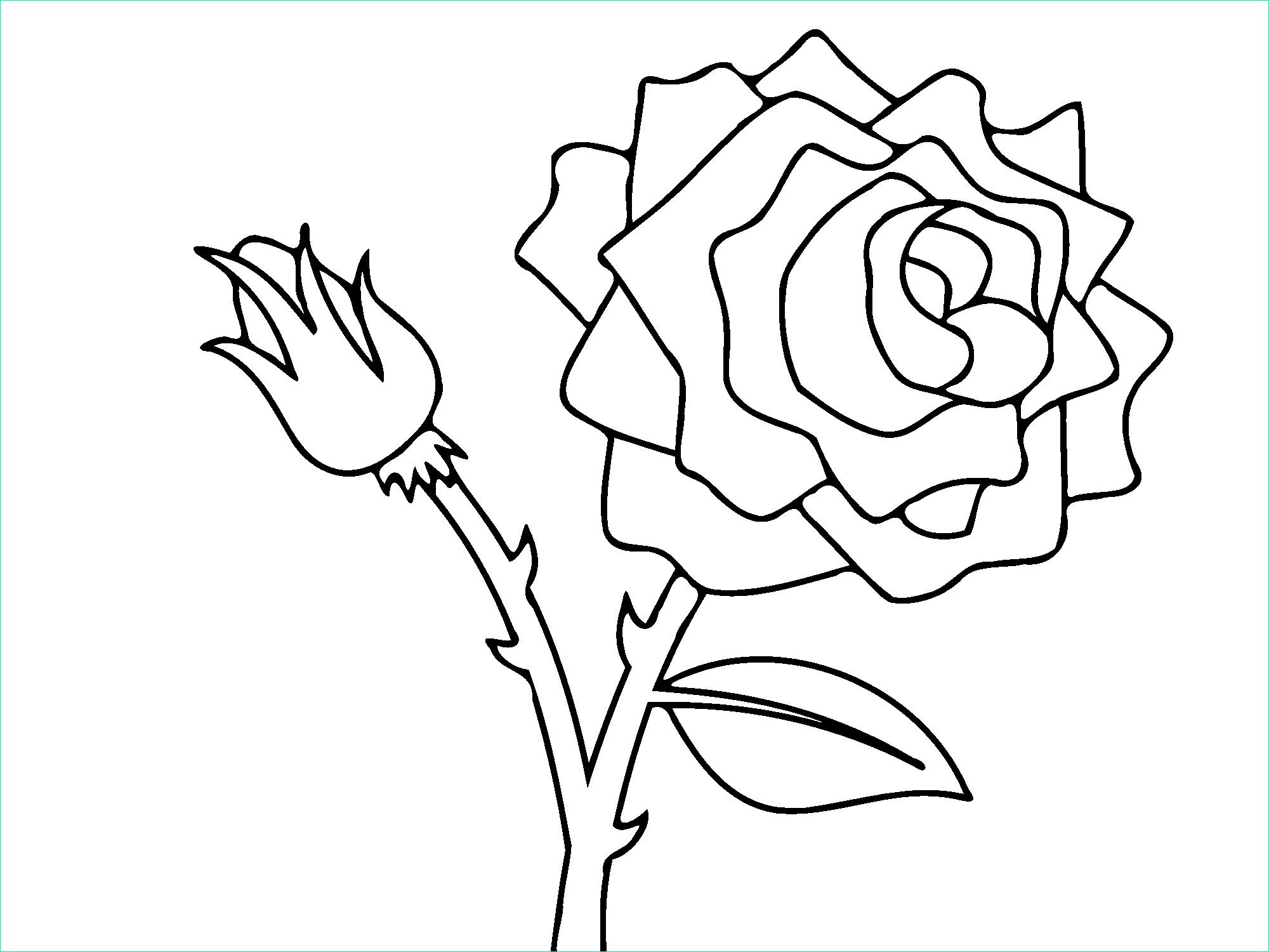 Rose Coloriage Luxe Photos Free Printable Roses Coloring Pages for Kids