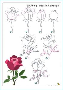 Rose Dessin Facile Élégant Image Dessiner Une Rose