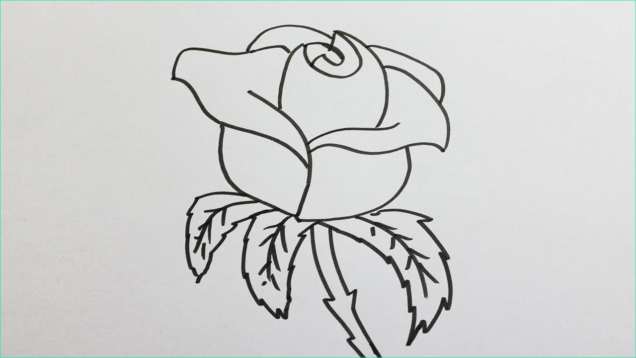 Rose Dessin Facile Élégant Image Ment Dessiner Une Rose Facilement