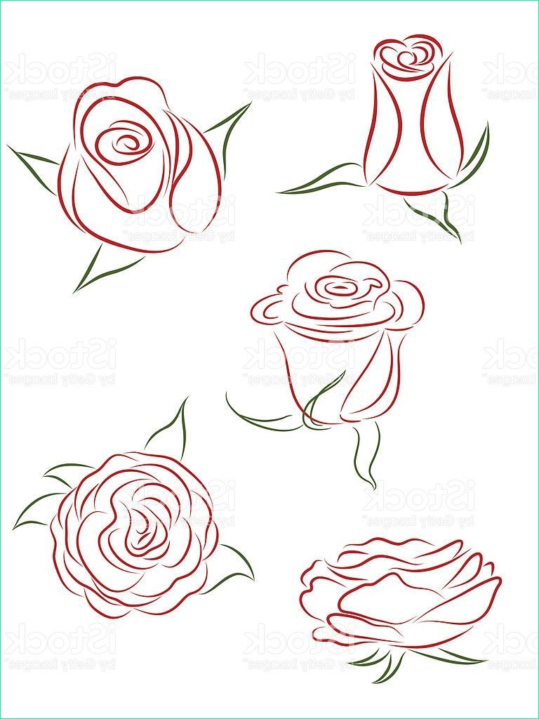 Rose Dessin Facile Inspirant Photos A Set Of Five Buds Of Roses Vector Illustration En 2019