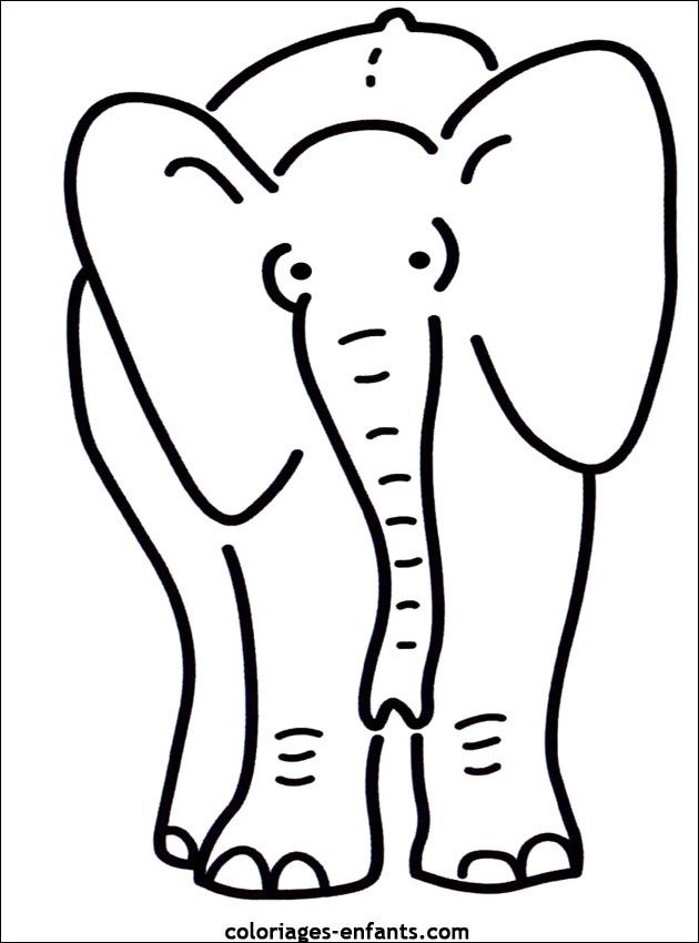 Tete Elephant Dessin Beau Image Dessin Tete Elephant Beau Image Dessin De Elephant 8