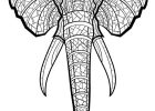Tete Elephant Dessin Beau Photographie Best 469 Stress Coloring Ready to Print Images On