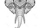 Tete Elephant Dessin Inspirant Photos Zentangle Stylized Elphant Head Sketch for Tattoo T