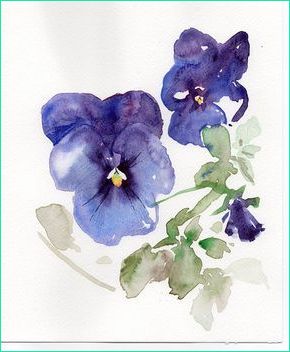 Violette Dessin Élégant Images Les Violettes Peinture Est Une Aquarelle originale Par A