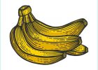 Banane Dessin Cool Photographie Dessin De Croquis De Couleur De Banane Illustration Stock