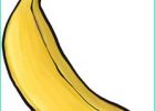 Banane Dessin Impressionnant Photographie Maret Le Miblog