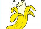 Banane Dessin Unique Collection Illustration Vectorielle D’une Banane De Dessin Animé