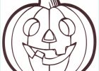 Citrouille Halloween Coloriage Beau Stock Coloriage Citrouille Halloween Dessin