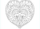 Coloriage à Imprimer Mandala Coeur Unique Photos Coloriage à Télécharger Mandala Cœur