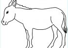 Coloriage âne Beau Images Donkey Coloring Pages for Kids Preschool and Kindergarten