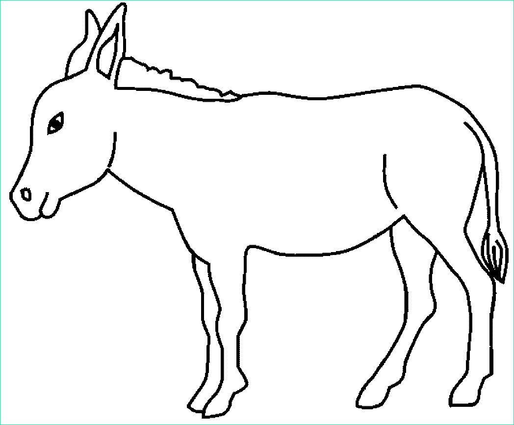 Coloriage âne Beau Images Donkey Coloring Pages for Kids Preschool and Kindergarten
