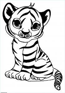 Coloriage Animaux à Imprimer Unique Photographie Coloriage Adorable Bebe Tigre Maternelle Dessin