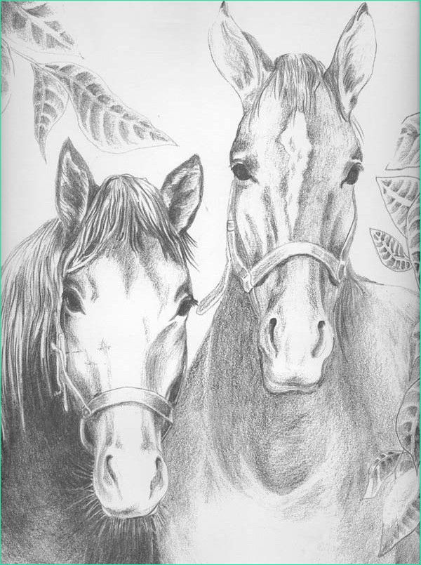 Coloriage Cheveaux Bestof Images Art therapy Coloring Page Horses Horses 3