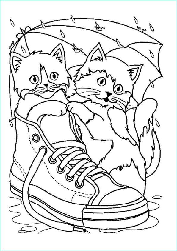 Coloriage De Chat Kawaii Inspirant Image Two Cute Cats In A Shoe Animals Adult Coloring Pages