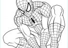 Coloriage De Spiderman Beau Image Coloriage Spiderman 3 En Reflexion Dessin
