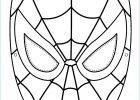 Coloriage De Spiderman Bestof Photos Coloriages à Imprimer Spiderman Numéro 4570