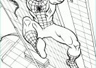 Coloriage De Spiderman Luxe Image Coloriage De Spiderman 10