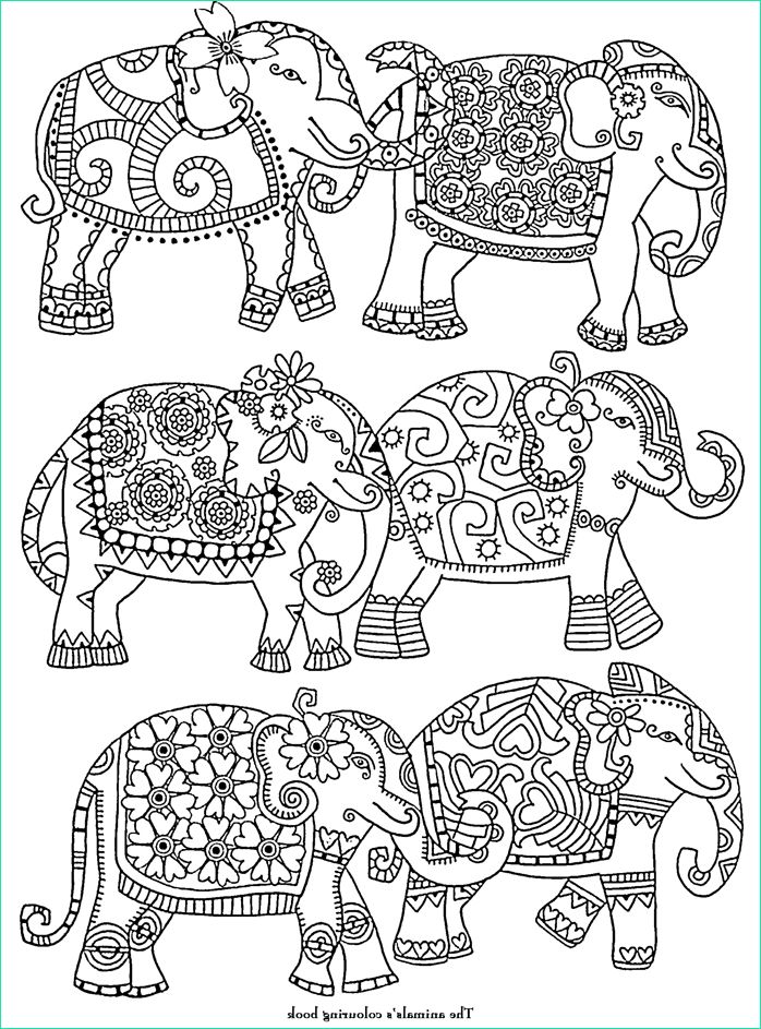 Coloriage éléphant Inde Inspirant Collection 11 Dessins De Coloriage éléphant Inde à Imprimer