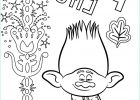 Coloriage Les Trolls à Imprimer Impressionnant Images Branch From Trolls 2 Coloring Pages Printable
