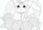 Coloriage Mandala à Imprimer Animaux Élégant Galerie Chat Arc En Ciel Et Mandala Par Kchung