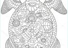 Coloriage Mandala à Imprimer Animaux Nouveau Image 12 Fabuleux Coloriage Mandala Animaux tortue