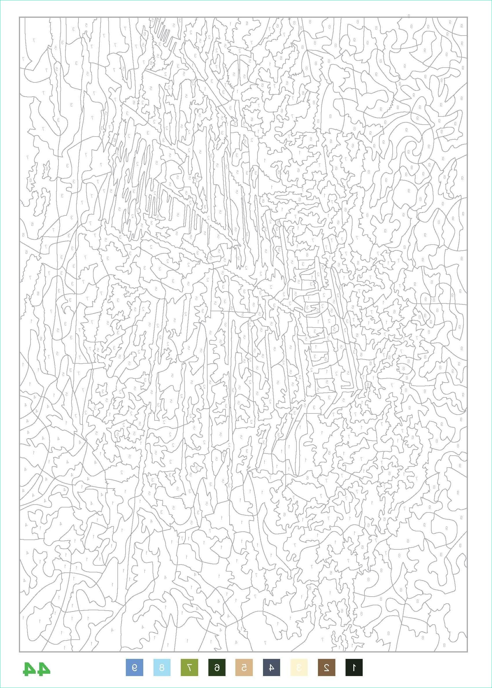 Coloriage Mystère Beau Stock Pin On Paint by Number