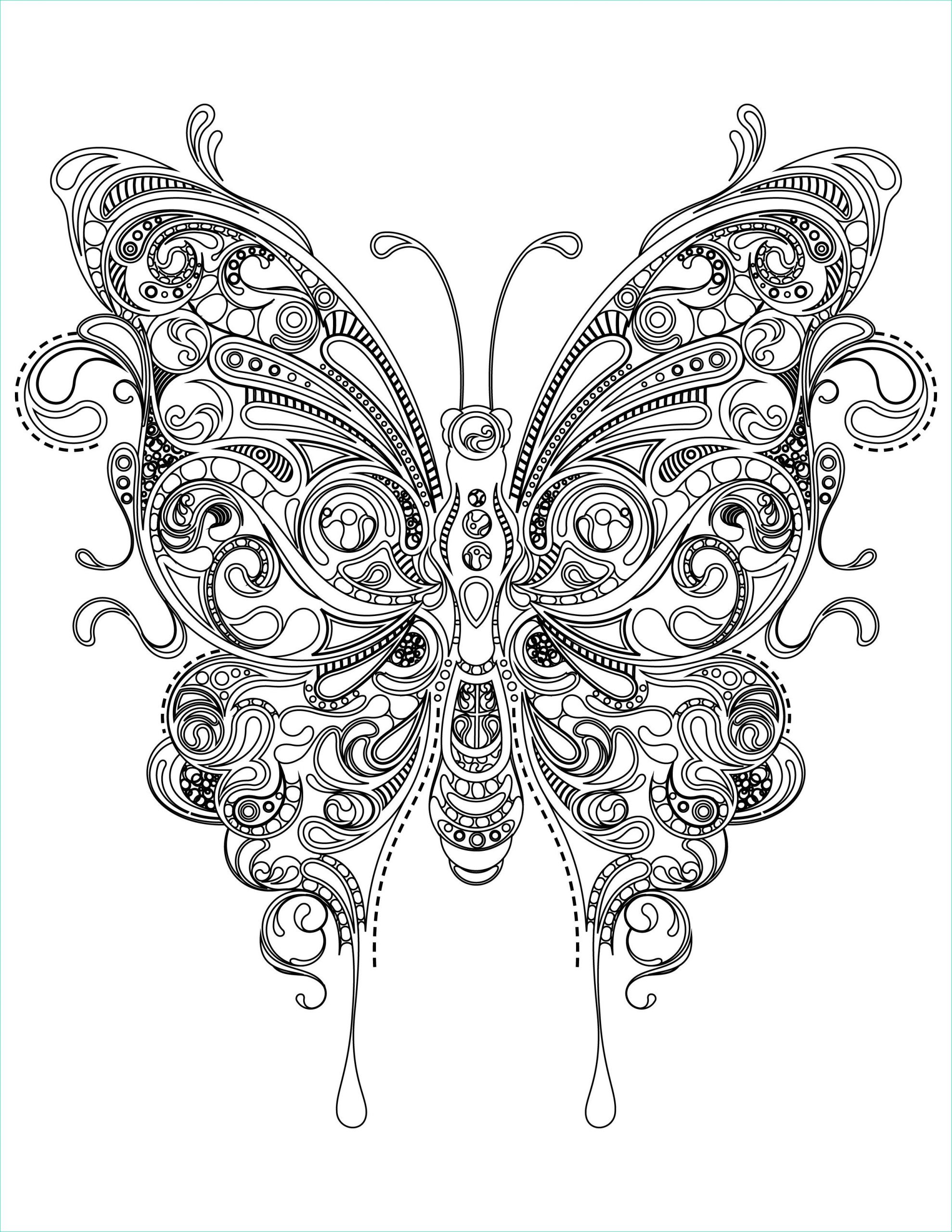 Coloriage Papillons Impressionnant Image Coloriage Papillon Très Difficile à Imprimer
