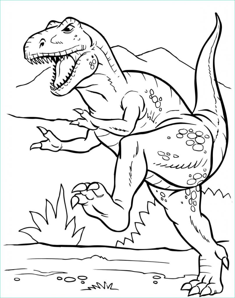 Coloriage T Rex Beau Photos Coloriage T Rex à Imprimer Sur Wonder Day ...