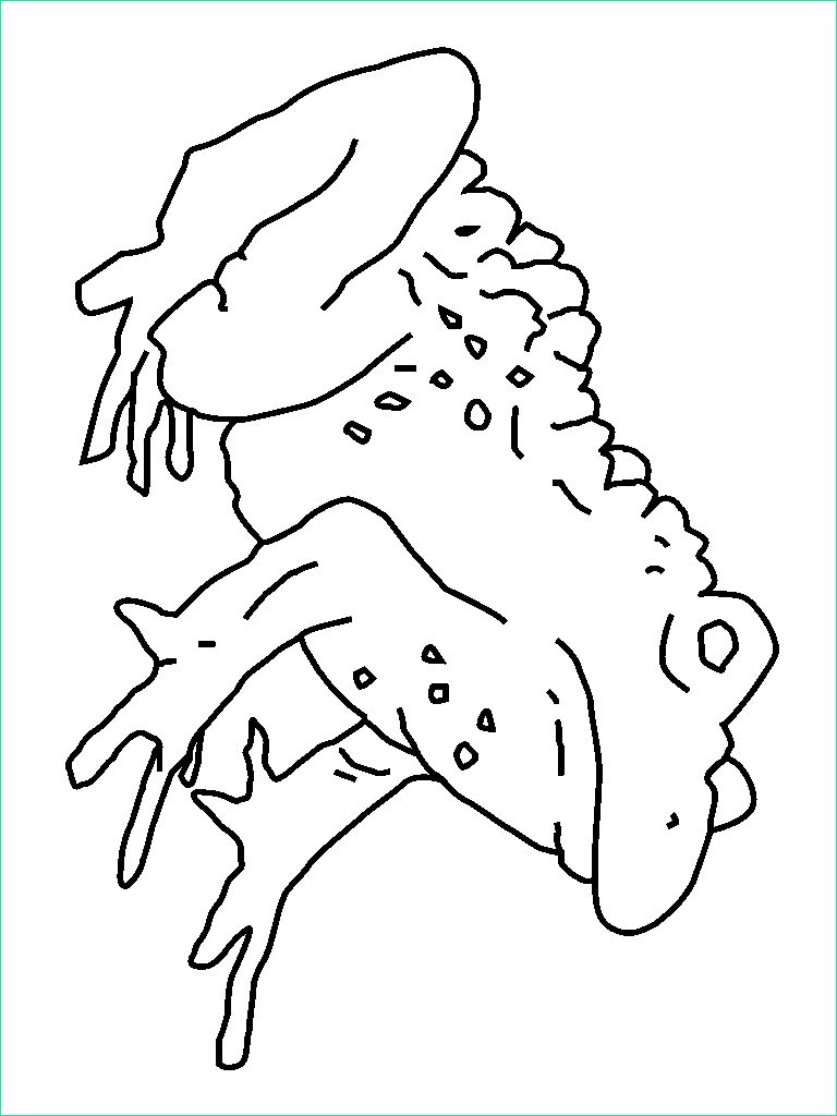 Coloriage toad Inspirant Photos Coloring Picture Of toad Child Coloring