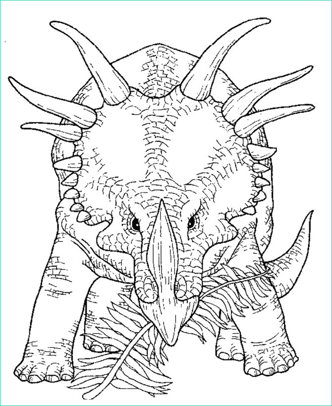 Coloriage Triceratops Luxe Images Coloriages à Imprimer Triceratops Numéro