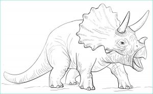 Coloriage Triceratops Unique Photographie Kolorowanki Triceratops Do Druku Dla Dzieci I Dorosłych