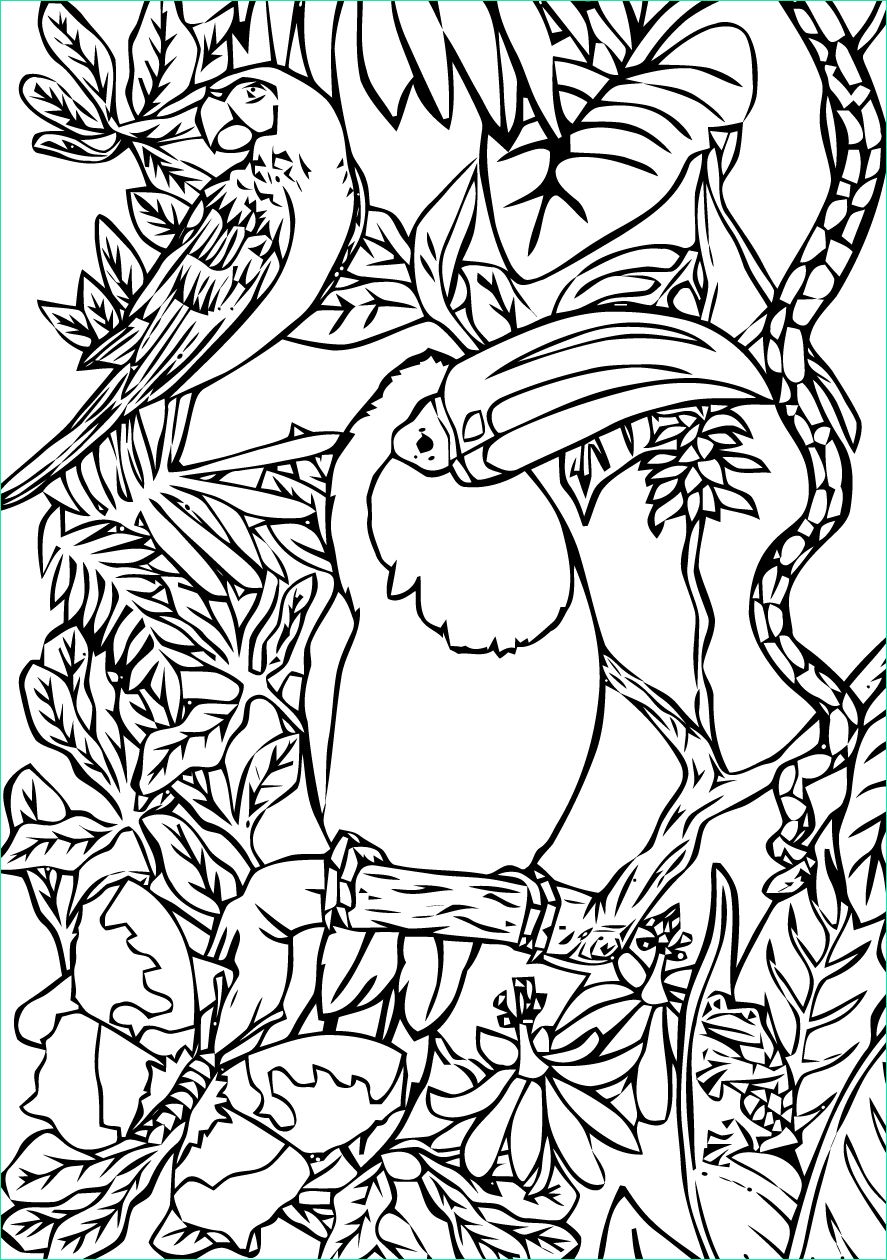 Dessin à Colorier Unique Galerie 118 Dessins De Coloriage Oiseau à Imprimer