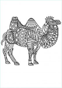 Dessin Animaux Mandala Bestof Galerie Free Book Camel Camels &amp; Dromedaries Adult Coloring Pages