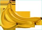 Dessin Banane Inspirant Image Fruits Bananes Page 2