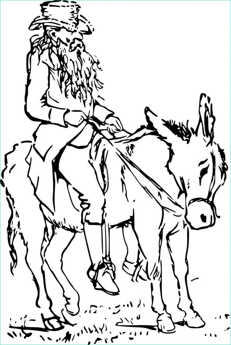 Dessin De Cheval Qui Saute Un Obstacle Unique Image Coloriage Cheval