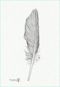 Dessin De Plume A Imprimer Luxe Image Small Black Feather original Ink Drawing