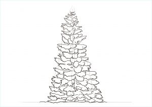 Dessin De Sapin Facile Inspirant Collection Ment Dessiner Un Arbre étape Par étape Dessindigo