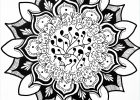 Dessin Fleur Mandala Bestof Collection Mandala Fleur Fait Main De Ludivine Dessin De Mandala