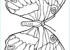 Dessin Gratuit Luxe Photos Coloriage Papillon à Imprimer Gratuitement