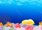 Dessin Ocean Bestof Images Sea Life Background — Stock Vector © Dagadu