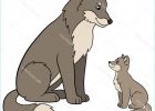 Dessin Petit Loup Beau Collection Animaux De Dessin Animé Père Loup Avec son Loup Bébé