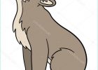 Dessin Petit Loup Unique Galerie Animaux De Dessin Animé Petit Bébé Loup Est assis Et