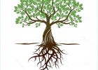 Dessin Racines Arbre Beau Galerie Color Tree and Roots Vector Illustration Stock