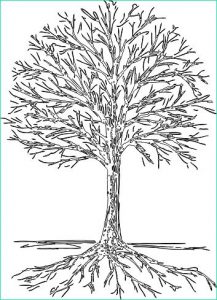 Dessin Racines Arbre Beau Photos Contour Drawing A Tree Silhouette with Roots Stock