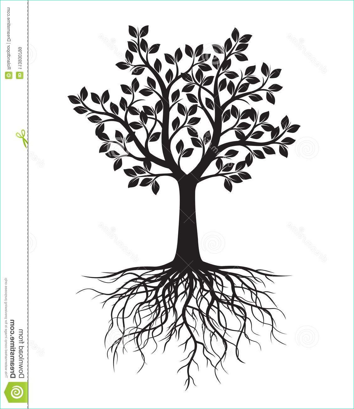 Dessin Racines Arbre Bestof Image Black Tree with Leaves and Roots Stock Illustration