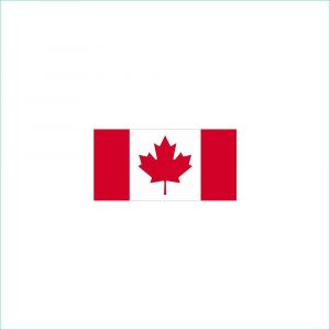 Drapeau Du Canada à Imprimer Luxe Galerie Flags Unlimited Canadian Flag 27 Inch X 54 Inch