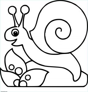 Escargot Coloriage Beau Galerie Coloriages à Imprimer Escargot Numéro B270c043