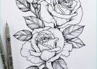 Fleur En Dessin Impressionnant Collection Le Dessin De Fleur – astuces Et Idées Pour Apprendre