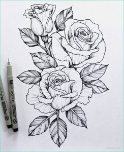 Fleur En Dessin Impressionnant Collection Le Dessin De Fleur – astuces Et Idées Pour Apprendre